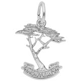 14K White Gold Monterey Cypress Charm by Rembrandt Charms