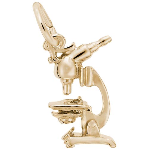14k Gold Microscope Charm by Rembrandt Charms