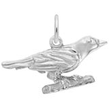 14K White Gold Oriole Bird Charm by Rembrandt Charms