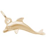 14K Gold Dolphin Accent Charm by Rembrandt Charms