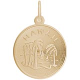 Gold Plated Hawaii Charm by Rembrandt Charms