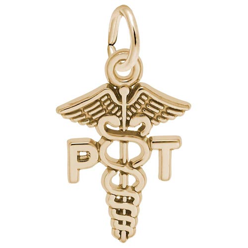 Gold Plate P.T. Caduceus Charm by Rembrandt Charms