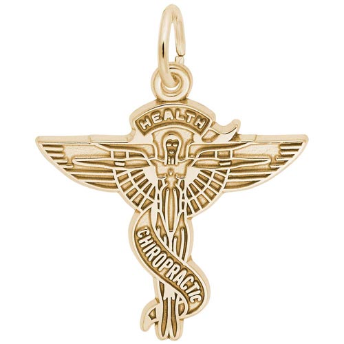 10K Gold Chiropractors Caduceus Charm by Rembrandt Charms