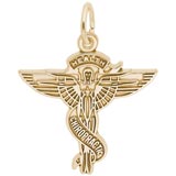 14K Gold Chiropractors Caduceus Charm by Rembrandt Charms