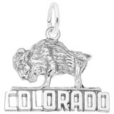 14K White Gold Buffalo Colorado Charm by Rembrandt Charms