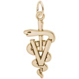 Rembrandt Veterinarian Charm, Gold Plate