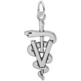 Rembrandt Veterinarian Charm, 14k White Gold