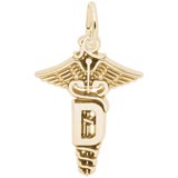 14K Gold Dental Caduceus Charm by Rembrandt Charms