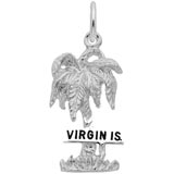 14K White Gold Virgin Islands Palm Tree Charm by Rembrandt Charms