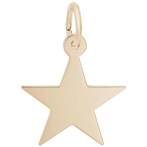 14K Gold Star Charm Series 50 by Rembrandt Charms 14K Gold Star Charm Series 50 by Rembrandt Charms
