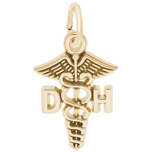 10K Gold Dental Hygienist Caduceus Charm by Rembrandt Charms 10K Gold Dental Hygienist Caduceus Charm by Rembrandt Charms