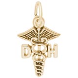 Gold Plate Dental Hygienist Caduceus Charm by Rembrandt Charms