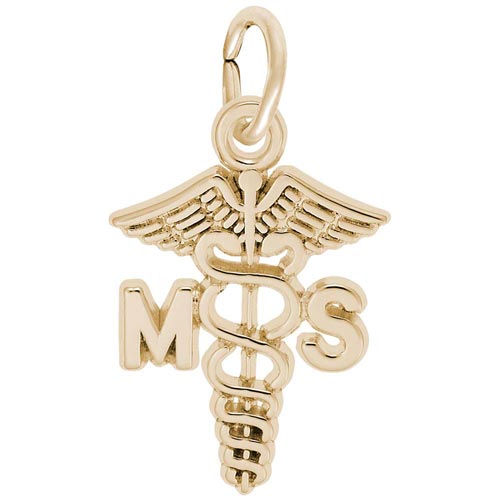 10K Gold Medical Secretary Caduceus by Rembrandt Charms 10K Gold Medical Secretary Caduceus by Rembrandt Charms