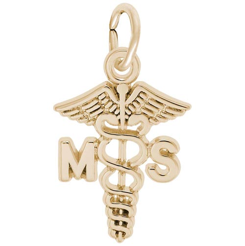 14K Gold Medical Secretary Caduceus by Rembrandt Charms