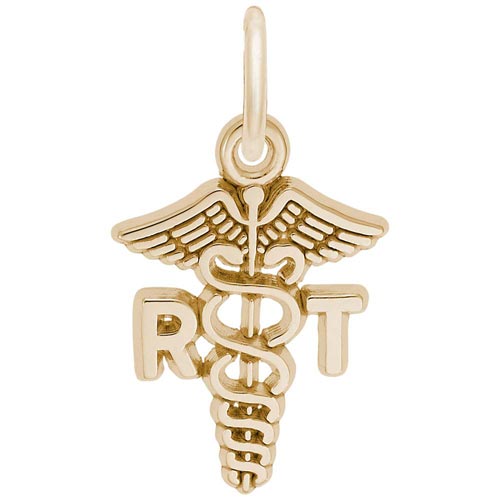 Gold Plate Respiratory Therapist Charm by Rembrandt Charms Gold Plate Respiratory Therapist Charm by Rembrandt Charms