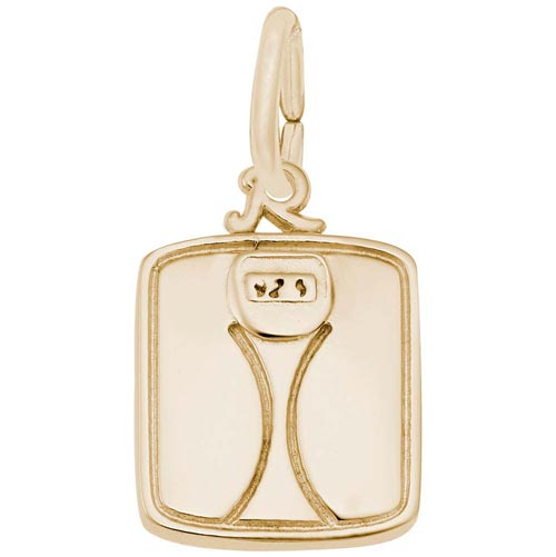 14K Gold Scale Charm by Rembrandt Charms 14K Gold Scale Charm by Rembrandt Charms
