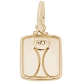 10K Gold Scale Charm by Rembrandt Charms