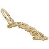 10K Gold Cuba Map Charm