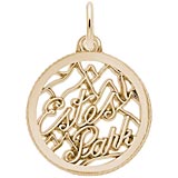 Gold Plate Estes Park Faceted Charm by Rembrandt Charms