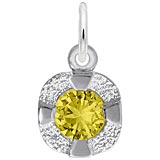 14K White Gold 11 Nov Petite Birthstone