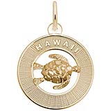 14K Gold Hawaii and Turtle