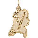 Gold Plate Netherlands Map Charm