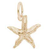 Rembrandt Starfish Charm, Gold Plate