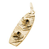 Rembrandt Wakeboard Charm, Gold Plate