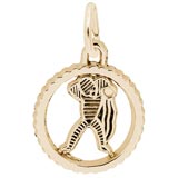10K Gold Aquarius Charm