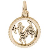 Gold Plate Sagittarius Charm