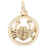 Gold Plate Cancer Charm